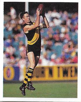 1993 Select AFL Stickers #195 Brian Leys Front